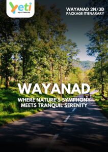 WAYANAD 2N/3D