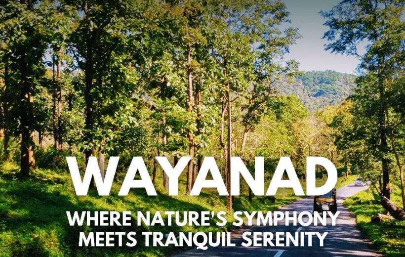 WAYANAD 2N/3D