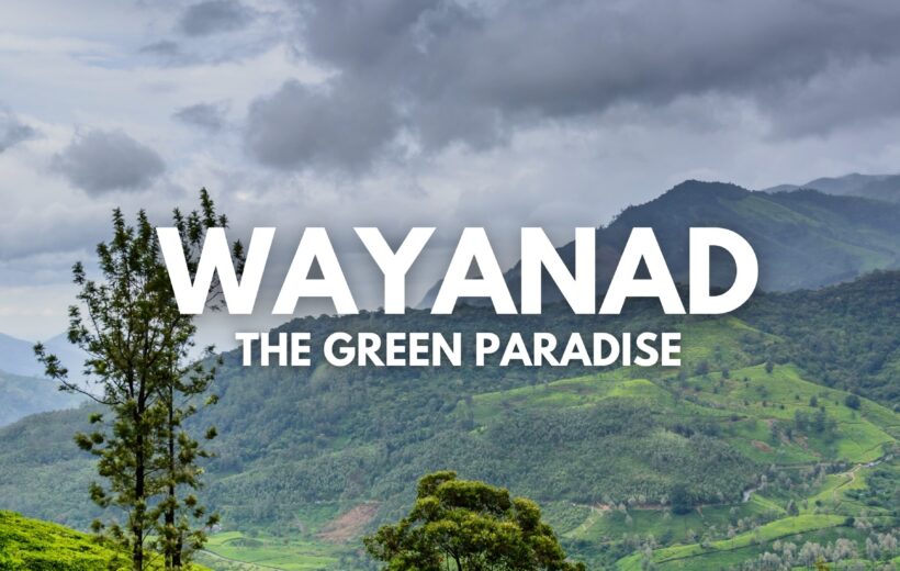WAYANAD 2N/3D